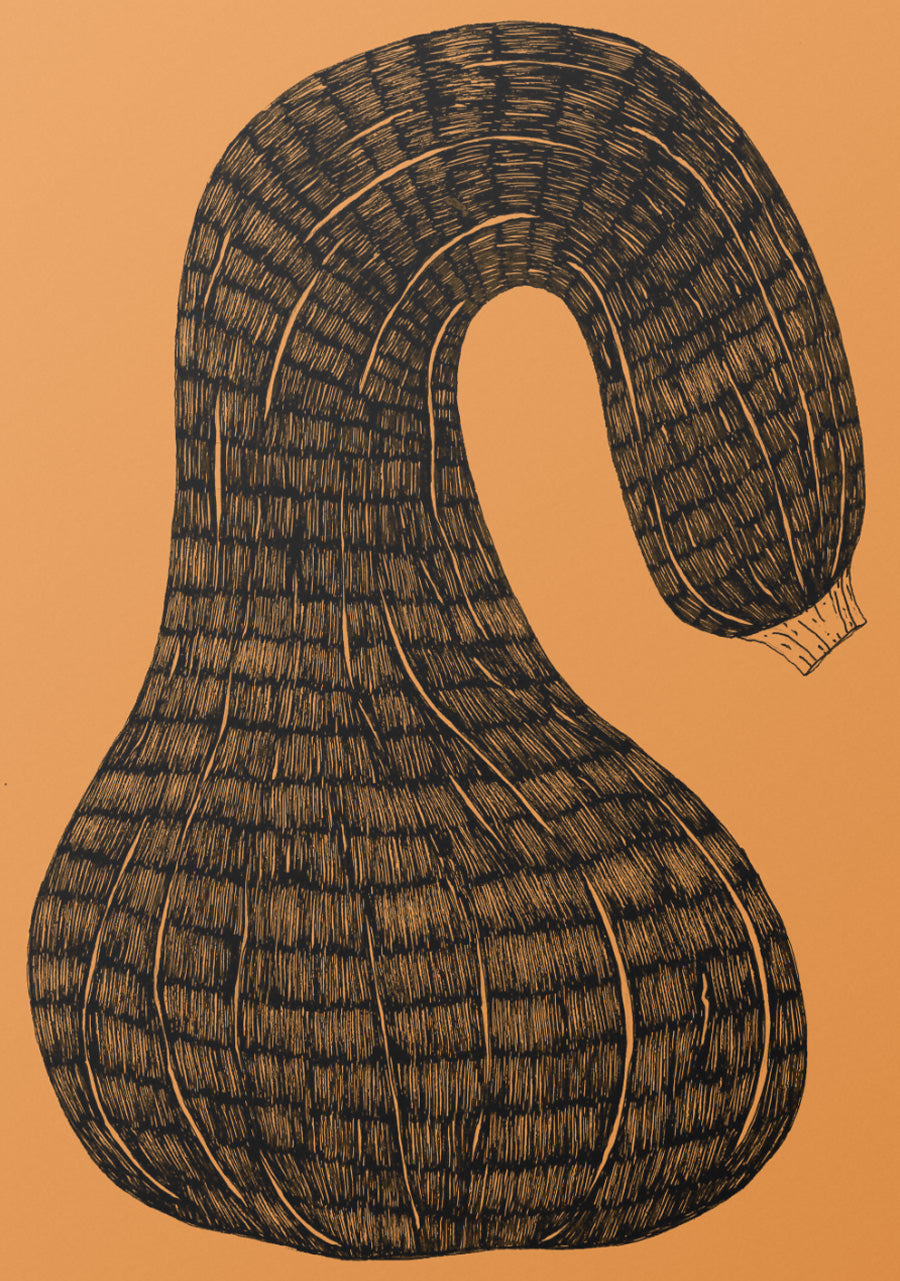 Curves
