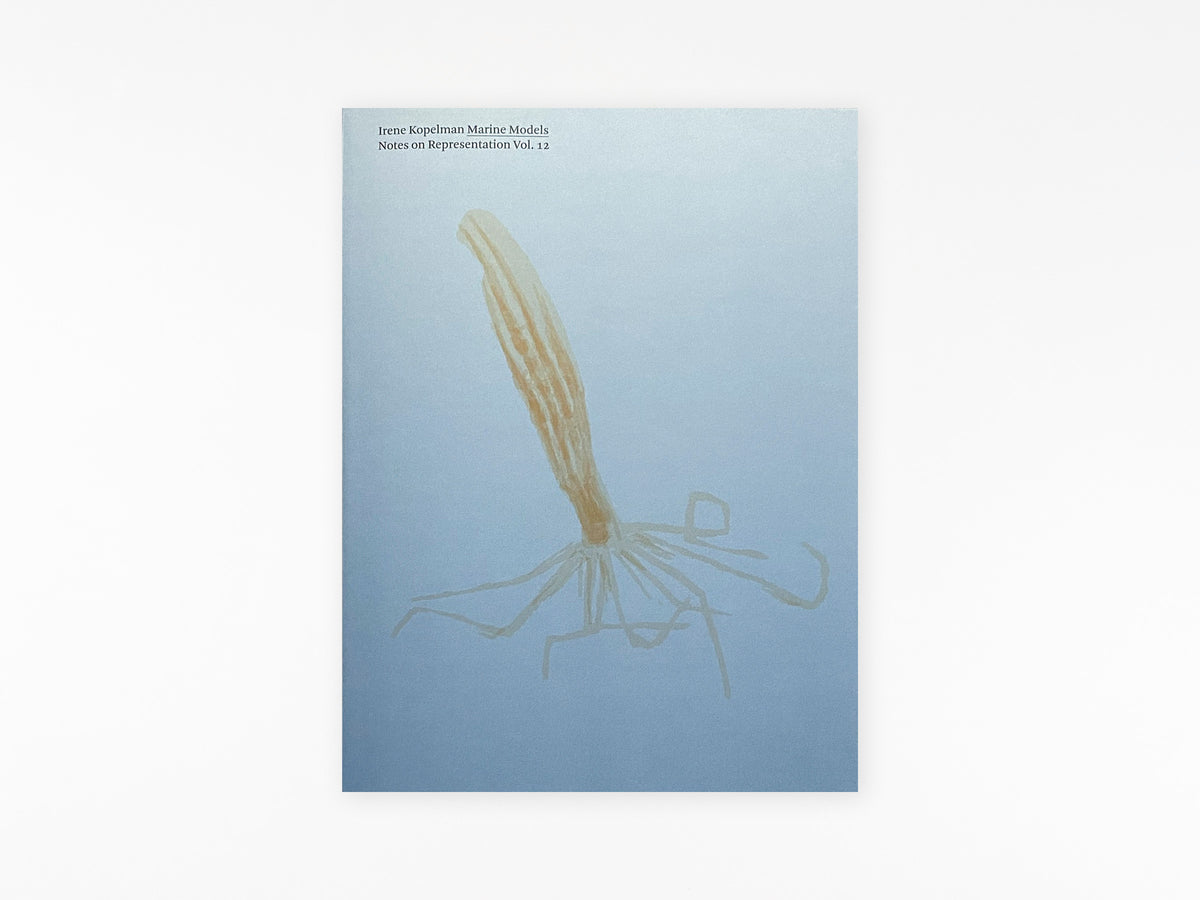 Marine Models Notes On Representation Vol. 12