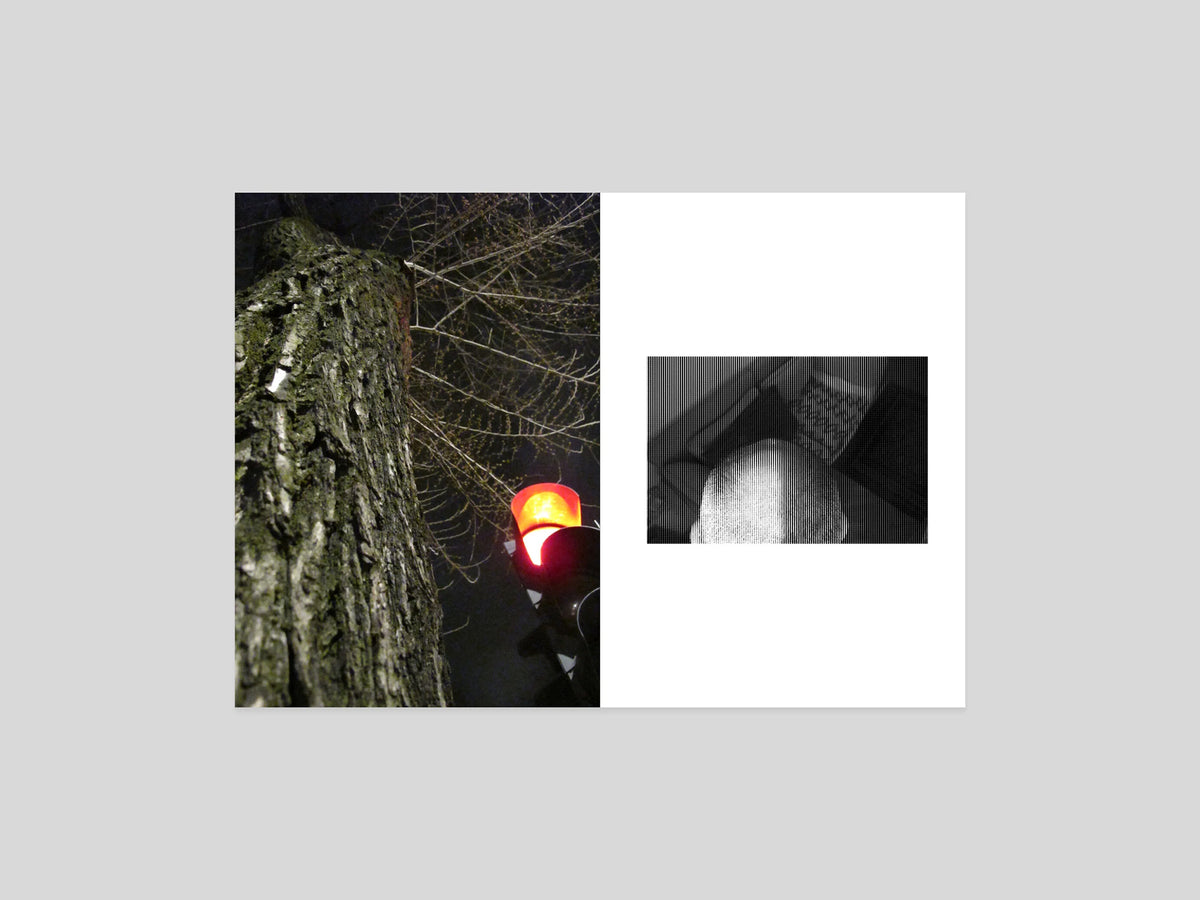 Aurobiography 15