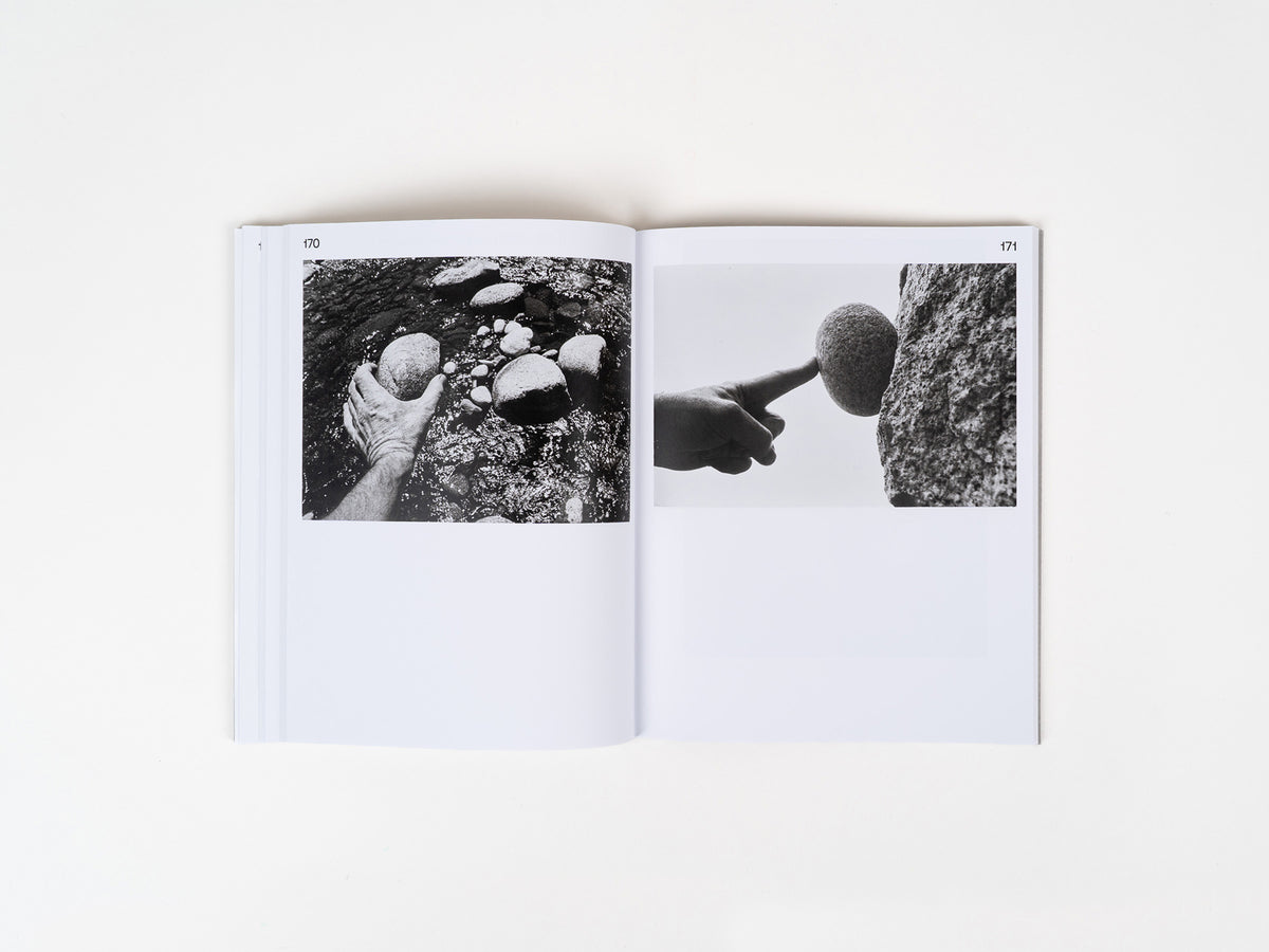 Stones, Ants, and Television