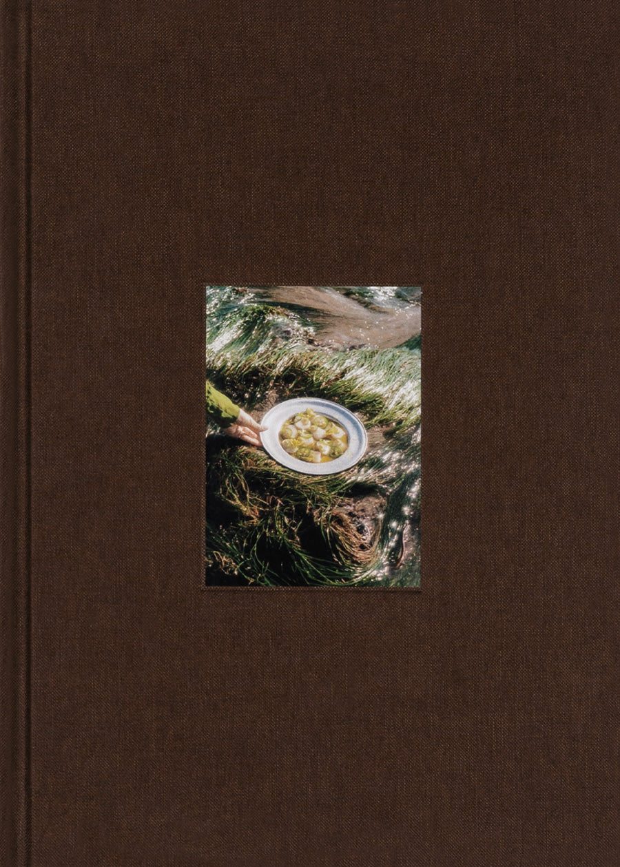 Cooking Notes Vol. II
