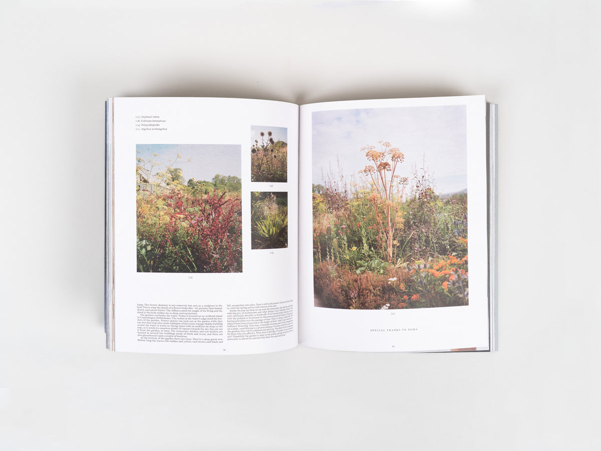 A Magazine 29: Curated by Cecilie Bahnsen