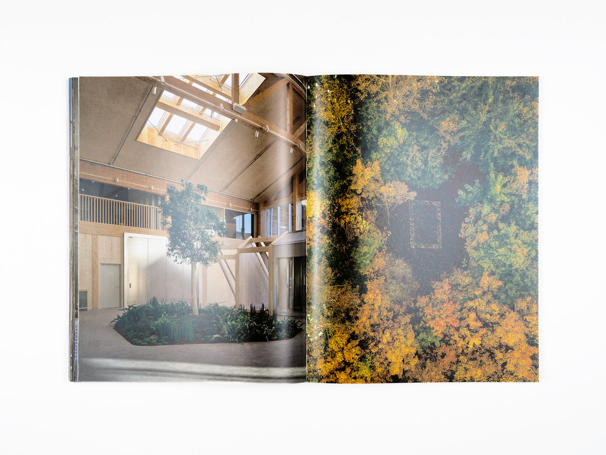 More Than a House: An Experiment in Transformation