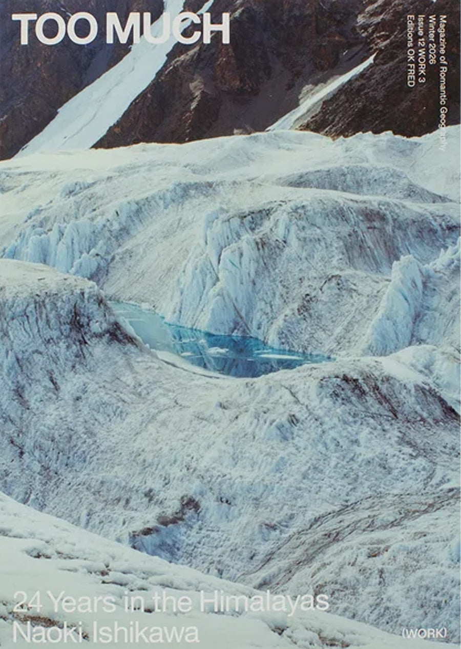 Work 3: Naoki Ishikawa "24 Years in the Himalayas" (Gasherbrum Glacier Cover)