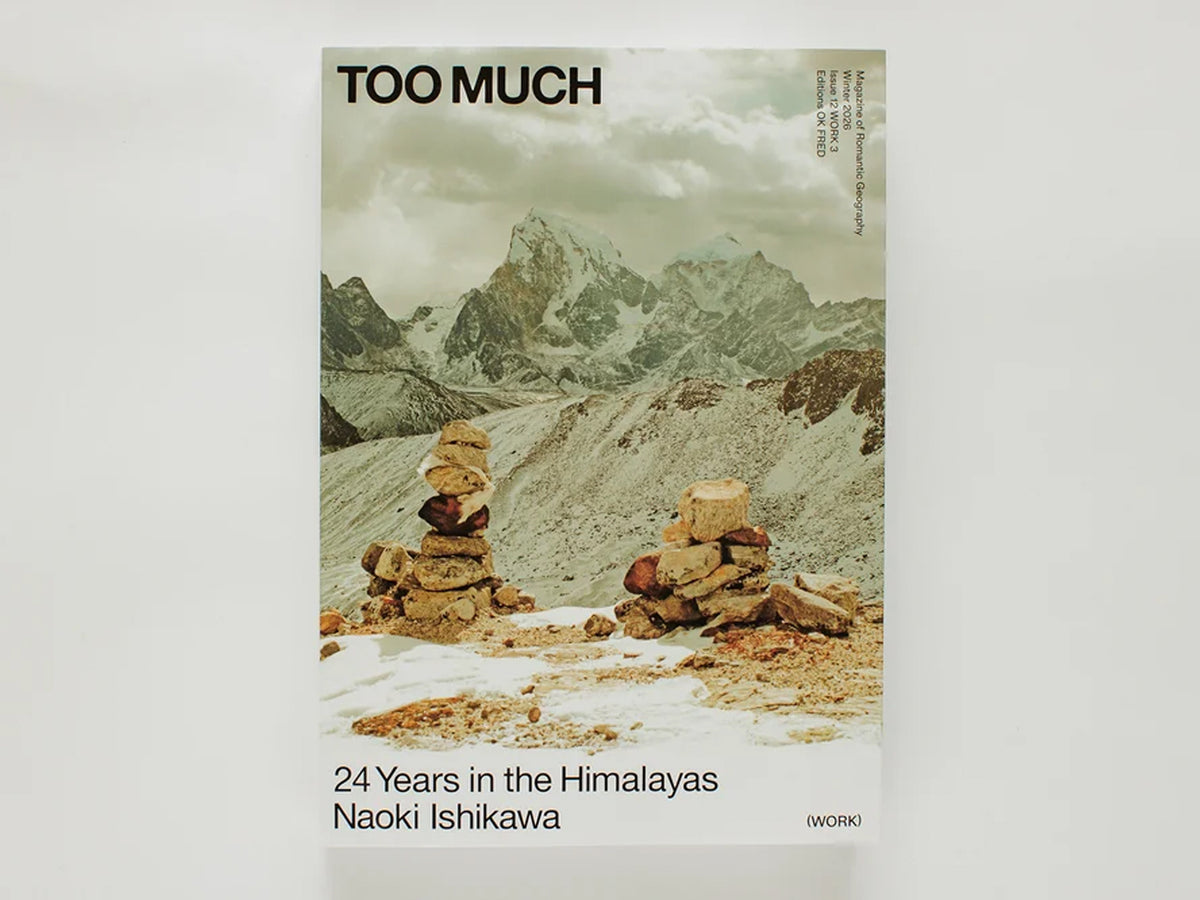Work 3: Naoki Ishikawa "24 Years in the Himalayas" (Renjo La Cover)