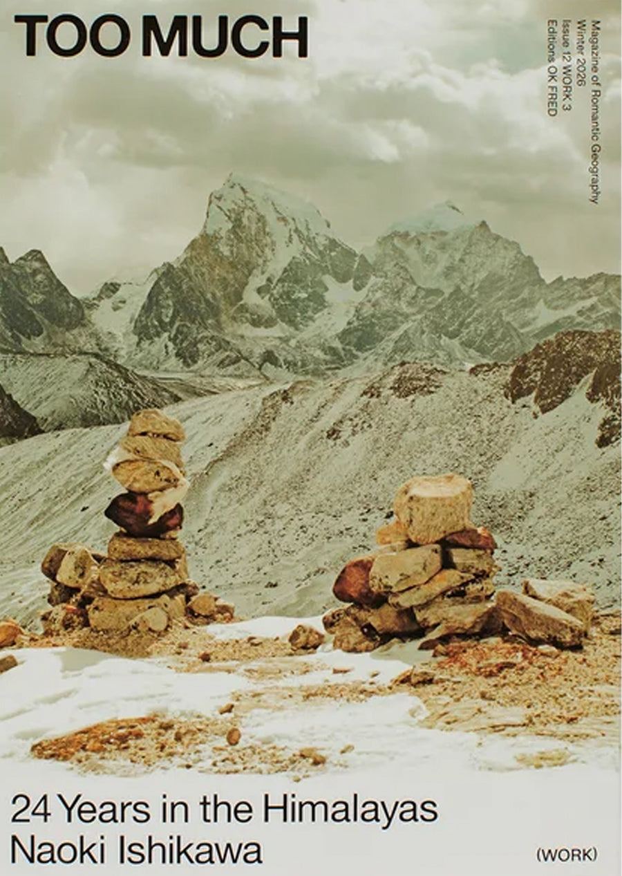 Work 3: Naoki Ishikawa "24 Years in the Himalayas" (Renjo La Cover)